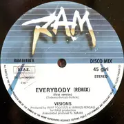 12inch Vinyl Single - Visions - Everybody (Remix)