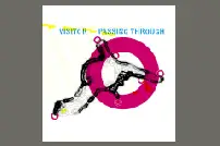 Visitor - Passing Through