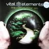 12'' - Vital Elements - The Path Is Clear
