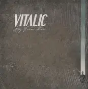Vitalic - My Friend Dario