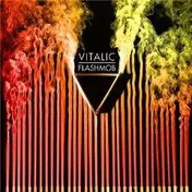 Vitalic - Flashmob -Ltd-