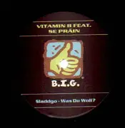 12inch Vinyl Single - Vitamin B Featuring Se Präin - Sladdgo - Was Du Woll?
