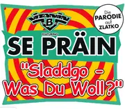 CD Single - Vitamin B Featuring Se Präin - 'Sladdgo - Was Du Woll?'