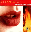 12inch Vinyl Single - Vitamin Z - Burn For You