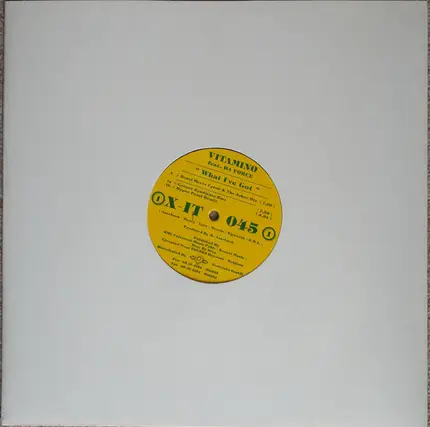 Vitamino Feat. Ricardo Da Force - What I've Got