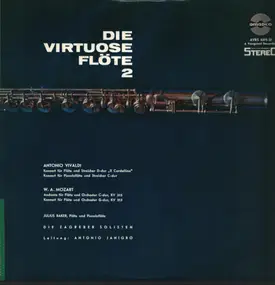 Vivaldi - Die Virtuose Flöte 2