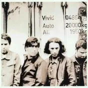 The Vivid - Auto All
