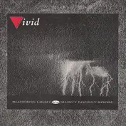 The Vivid