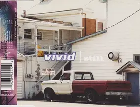 The Vivid - Still