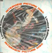 Vixen - Limited Edition Interview Picture Disc