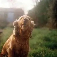 Vondelpark - Nyc Stuff & Nyc Bags Ep