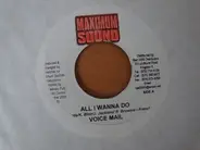 Voicemail - All I Wanna Do