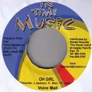 7inch Vinyl Single - Voicemail / Delishus - Oh Girl / Don't Call Me