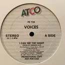 12inch Vinyl Single - Voices - I Can See The Night