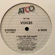 Voices - I Can See The Night