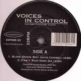 Voices In Control - The R&B Flavours Album