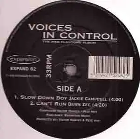 Voices In Control - The R&B Flavours Album