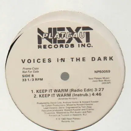Voices In The Dark - Keep It Warm (Remix)