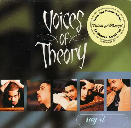 Voices Of Theory - Say It