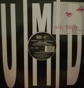 voices - Sky High (Stonebridge Remixes & '96 Souled Out Interpretation)