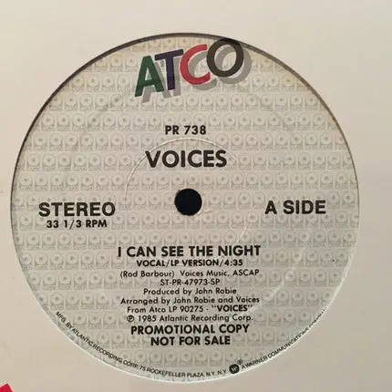 Voices - I Can See The Night