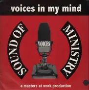 Voices - Voices In My Mind