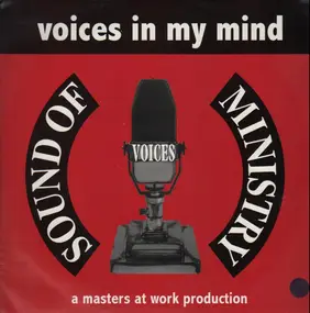 voices - Voices In My Mind