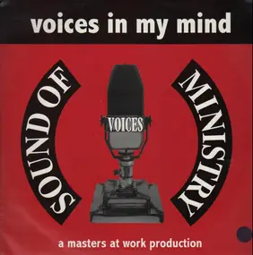 voices - Voices In My Mind