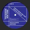 12'' - Voices From The Lake - Velo Di Maya