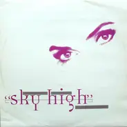 Voices Present Individual - Sky High (Stonebridge Remixes)