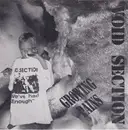 7inch Vinyl Single - Void Section - Growing Pains