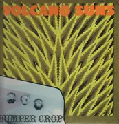 LP - Volcano Suns - Bumper Crop