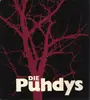 Hardcover - Volker Ettelt / Wolfgang Tilgner - Die Puhdys