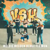 Vsk