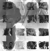 CD - Vulgar Pigeons - Summary Execution