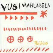 Vusi Mahlasela - The Voice
