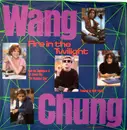7inch Vinyl Single - Wang Chung - Fire In The Twilight