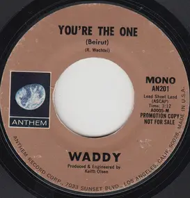 Waddy Wachtel - You're The One (Beirut)