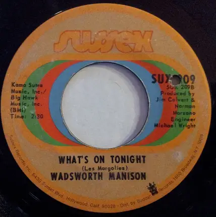 Wadsworth Mansion - Sweet Mary / What's On Tonight