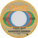 7inch Vinyl Single - Wadsworth Mansion - Sweet Mary / What's On Tonight
