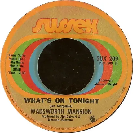 Wadsworth Mansion - Sweet Mary / What's On Tonight