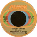 7'' - Wadsworth Mansion - Sweet Mary / What's On Tonight