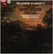 Wagner / Tchaikovsky / Dvorak a.o. (Marriner) - Siegfried Idyll / Andante Cantabile / Notturno a.o.