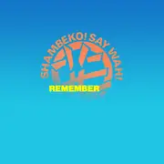 12inch Vinyl Single - Wah! - Remember