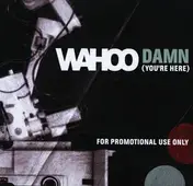Wahoo - Damn ( Freeform Five/ Michi Lange )