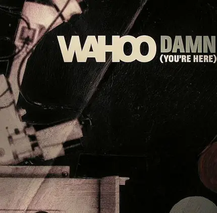 Wahoo - Damn (You're Here)