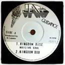 10'' - Wailing Souls - Kingdom Rise / Oh What A Feeling