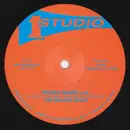 12inch Vinyl Single - Wailing Souls - Trouble Maker / Run My People