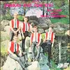 LP - Walt Cieslik And The Musical Ambassadors - Polkas Just For You