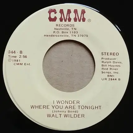 Walt Wilder - Drinkin' Beer, Chasin' Women, Dodgen' Wives